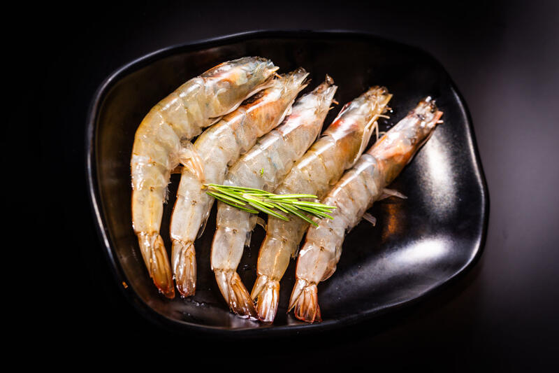 DS2. Jumbo Shrimp W. Head